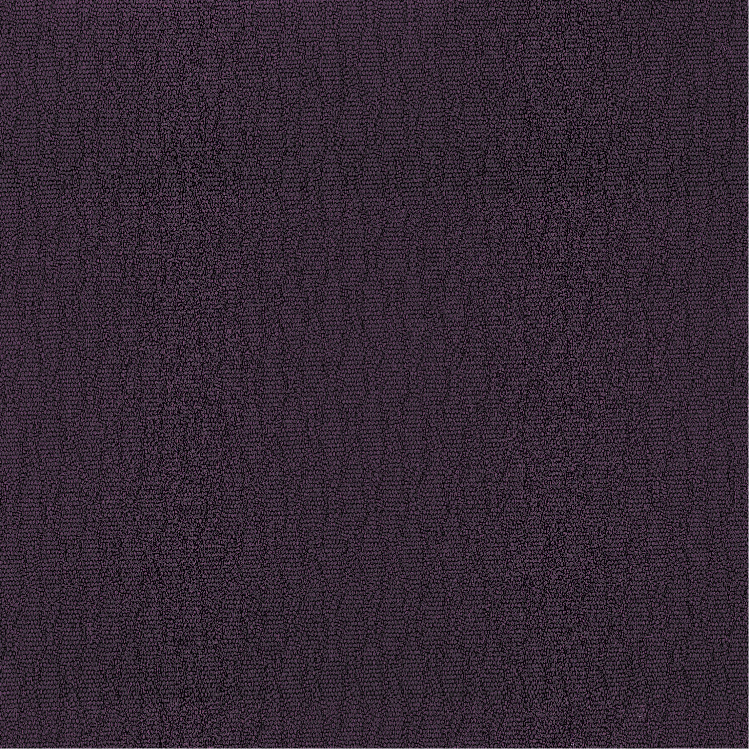 Cozy Eggplant - 21004